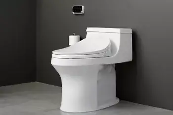 Common Misconceptions About Bidet Seats