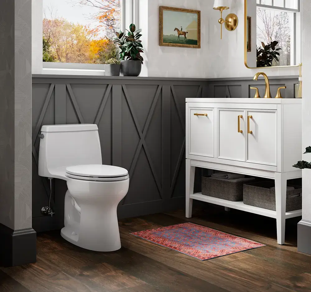 High-End replacement for Luxury Toilet Replacement in northern virginia